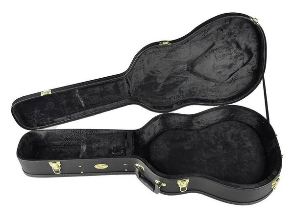 Standard Series case for 335-model guitar