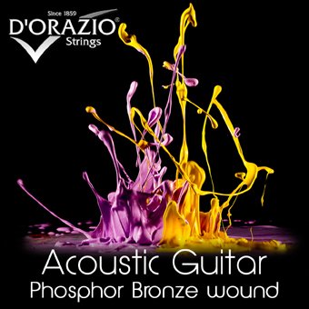 D'Orazio Acoustic guitar Phosphor bronze