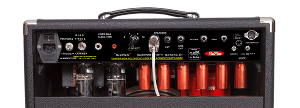 RedPlate BlackVerb, Custom 50W/18W P2P amplifier